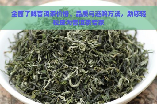 全面了解普洱茶价格、品质与选购方法，助您轻松成为普洱茶专家