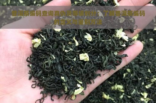 普洱茶编码查询真伪及等级划分：了解普洱茶编码的含义与鉴别方法