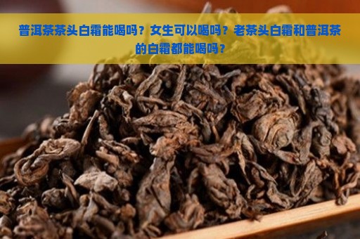 普洱茶茶头白霜能喝吗？女生可以喝吗？老茶头白霜和普洱茶的白霜都能喝吗？