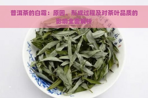 普洱茶的白霜：原因、形成过程及对茶叶品质的影响全面解析