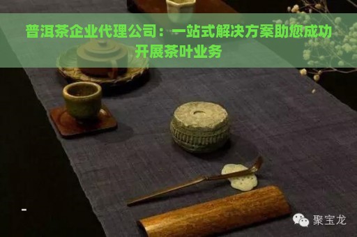 普洱茶企业代理公司：一站式解决方案助您成功开展茶叶业务