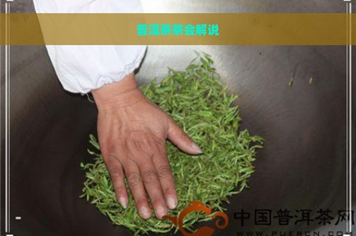 普洱茶茶会解说