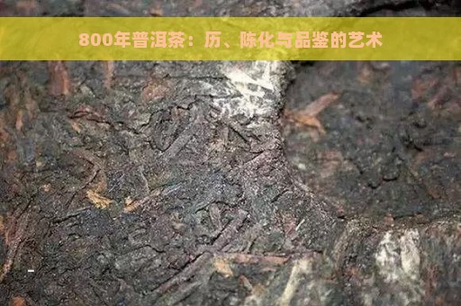 800年普洱茶：历、陈化与品鉴的艺术