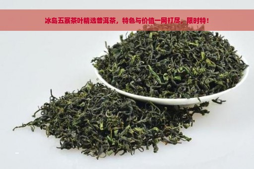 冰岛五寨茶叶精选普洱茶，特色与价值一网打尽，限时特！