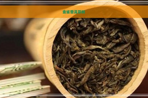 金雀普洱茶树