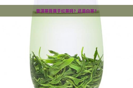 普洱茶膏属于红茶吗？还是白茶？