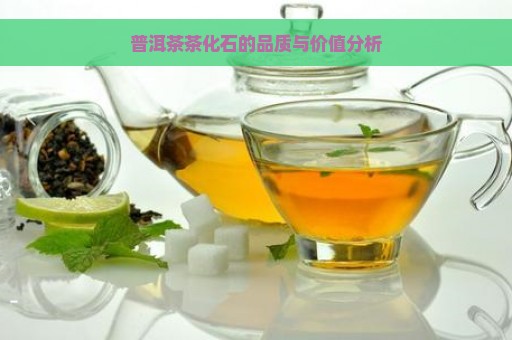 普洱茶茶化石的品质与价值分析