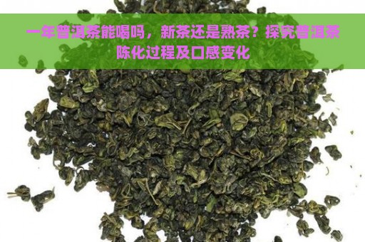 一年普洱茶能喝吗，新茶还是熟茶？探究普洱茶陈化过程及口感变化