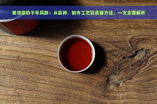 普洱茶的千年风韵：从品种、制作工艺到品鉴方法，一文全面解析