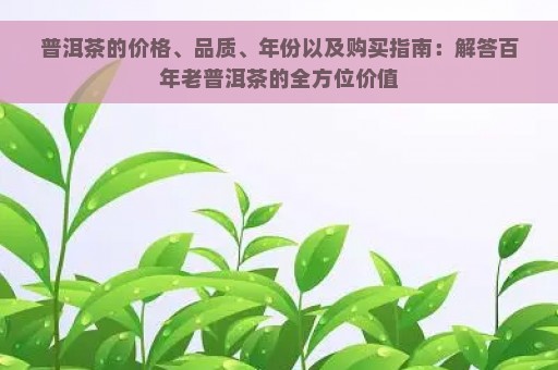 普洱茶的价格、品质、年份以及购买指南：解答百年老普洱茶的全方位价值