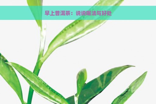 早上普洱茶：说说喝法与好处