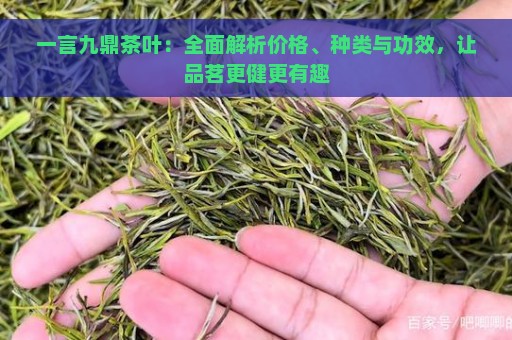 一言九鼎茶叶：全面解析价格、种类与功效，让品茗更健更有趣