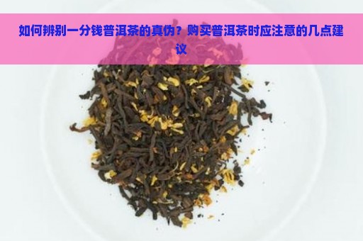 如何辨别一分钱普洱茶的真伪？购买普洱茶时应注意的几点建议