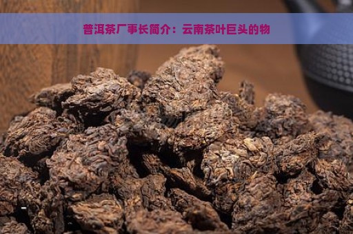 普洱茶厂事长简介：云南茶叶巨头的物