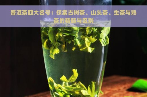 普洱茶四大名号：探索古树茶、山头茶、生茶与熟茶的精髓与区别