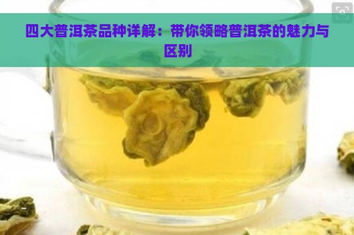 四大普洱茶品种详解：带你领略普洱茶的魅力与区别