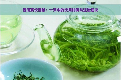 普洱茶饮用量：一天中的饮用时间与适量建议