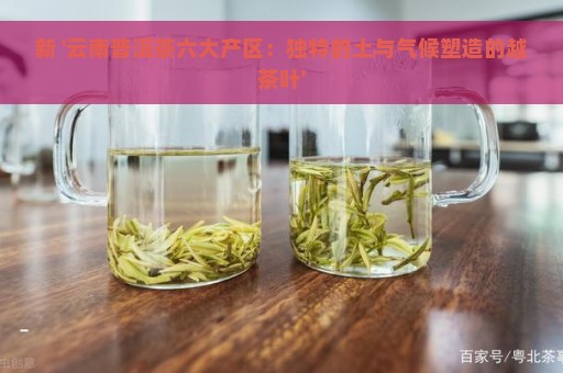 新 '云南普洱茶六大产区：独特的土与气候塑造的越茶叶'