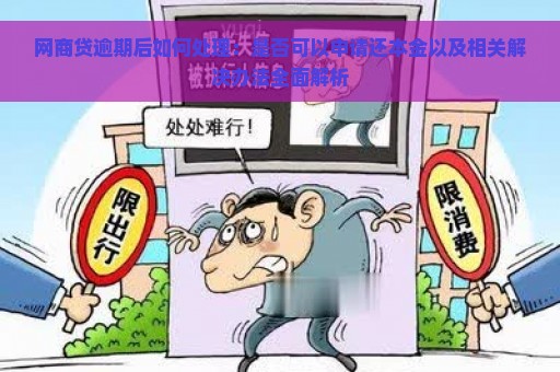 网商贷逾期后如何处理：是否可以申请还本金以及相关解决办法全面解析