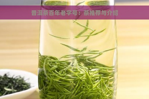 普洱茶百年老字号：茶推荐与介绍