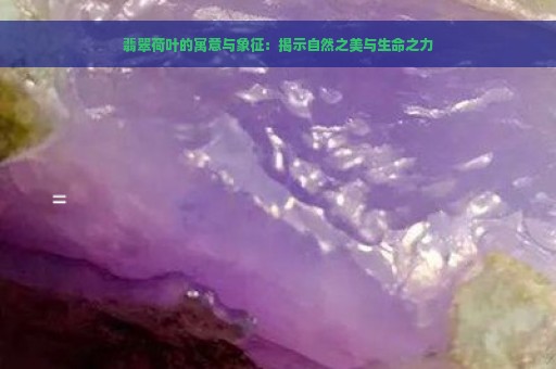 翡翠荷叶的寓意与象征：揭示自然之美与生命之力