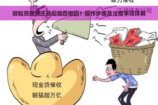 微粒贷提前还款后能否撤回？操作步骤及注意事项详解