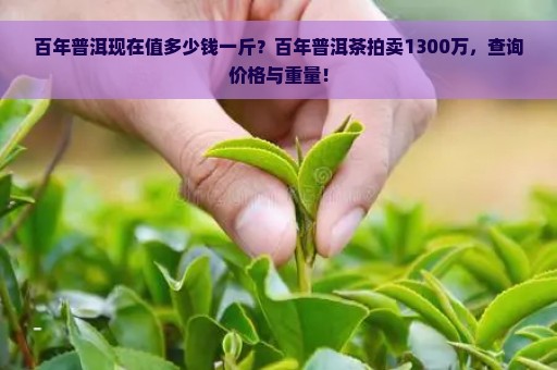 百年普洱现在值多少钱一斤？百年普洱茶拍卖1300万，查询价格与重量！