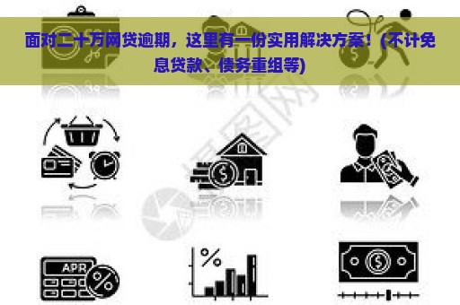 面对二十万网贷逾期，这里有一份实用解决方案！(不计免息贷款、债务重组等)