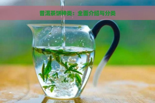 普洱茶饼种类：全面介绍与分类