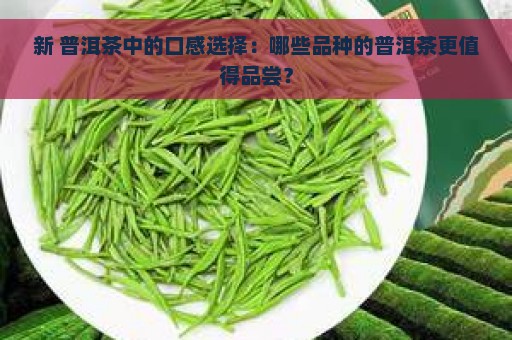 新 普洱茶中的口感选择：哪些品种的普洱茶更值得品尝？