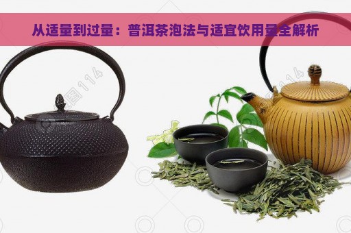 从适量到过量：普洱茶泡法与适宜饮用量全解析