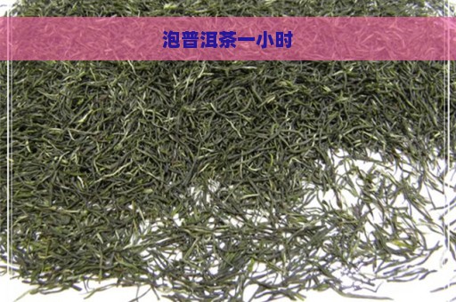 泡普洱茶一小时