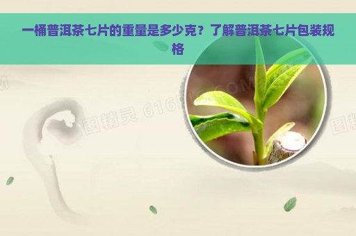 一桶普洱茶七片的重量是多少克？了解普洱茶七片包装规格