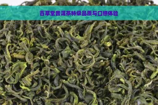 百草堂普洱茶特级品质与口感体验