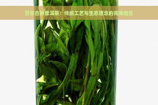 百年古树普洱茶：传统工艺与生态理念的完美结合