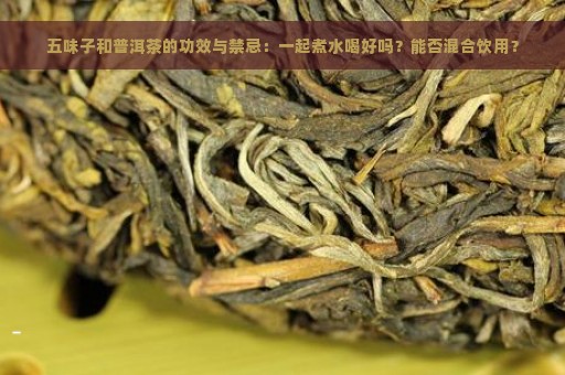 五味子和普洱茶的功效与禁忌：一起煮水喝好吗？能否混合饮用？