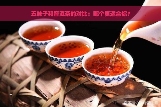 五味子和普洱茶的对比：哪个更适合你？