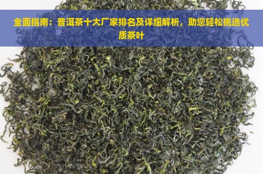 全面指南：普洱茶十大厂家排名及详细解析，助您轻松挑选优质茶叶