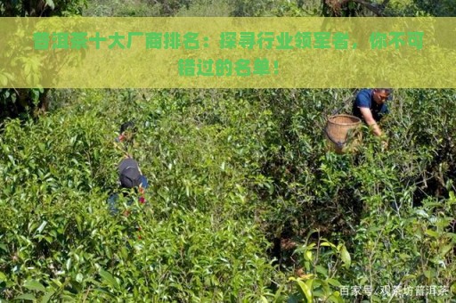 普洱茶十大厂商排名：探寻行业领军者，你不可错过的名单！