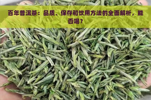 百年普洱茶：品质、保存和饮用方法的全面解析，能否喝？