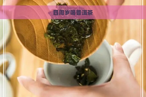 四周岁喝普洱茶