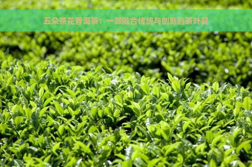 五朵茶花普洱茶：一款融合传统与创新的茶叶宴