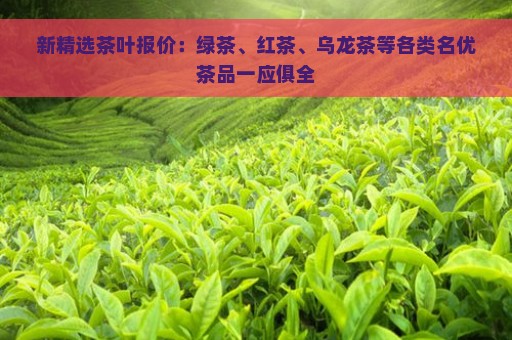 新精选茶叶报价：绿茶、红茶、乌龙茶等各类名优茶品一应俱全