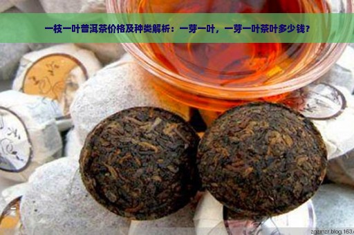 一枝一叶普洱茶价格及种类解析：一芽一叶，一芽一叶茶叶多少钱？