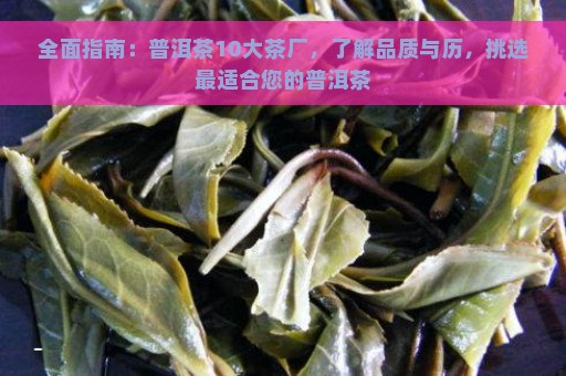 全面指南：普洱茶10大茶厂，了解品质与历，挑选最适合您的普洱茶