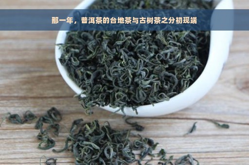 那一年，普洱茶的台地茶与古树茶之分初现端