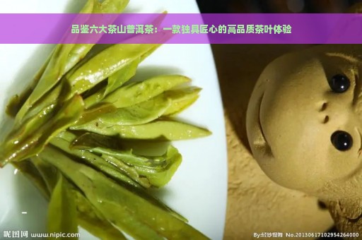 品鉴六大茶山普洱茶：一款独具匠心的高品质茶叶体验