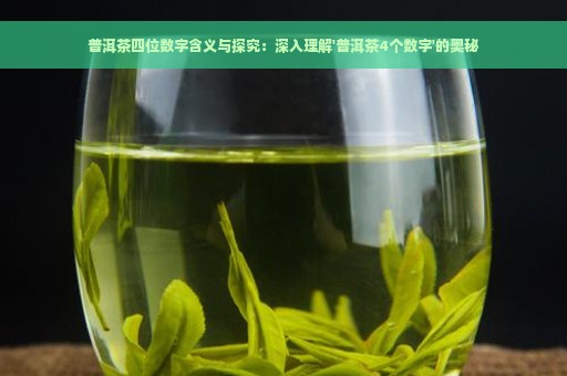 普洱茶四位数字含义与探究：深入理解'普洱茶4个数字'的奥秘