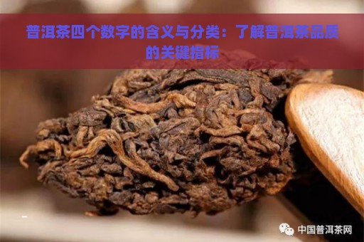 普洱茶四个数字的含义与分类：了解普洱茶品质的关键指标