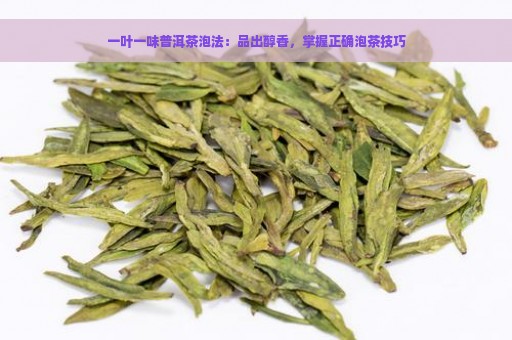 一叶一味普洱茶泡法：品出醇香，掌握正确泡茶技巧